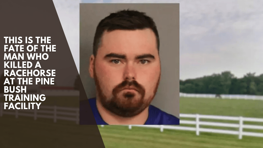 This is the fate of the man who killed a racehorse at the Pine Bush Training Facility