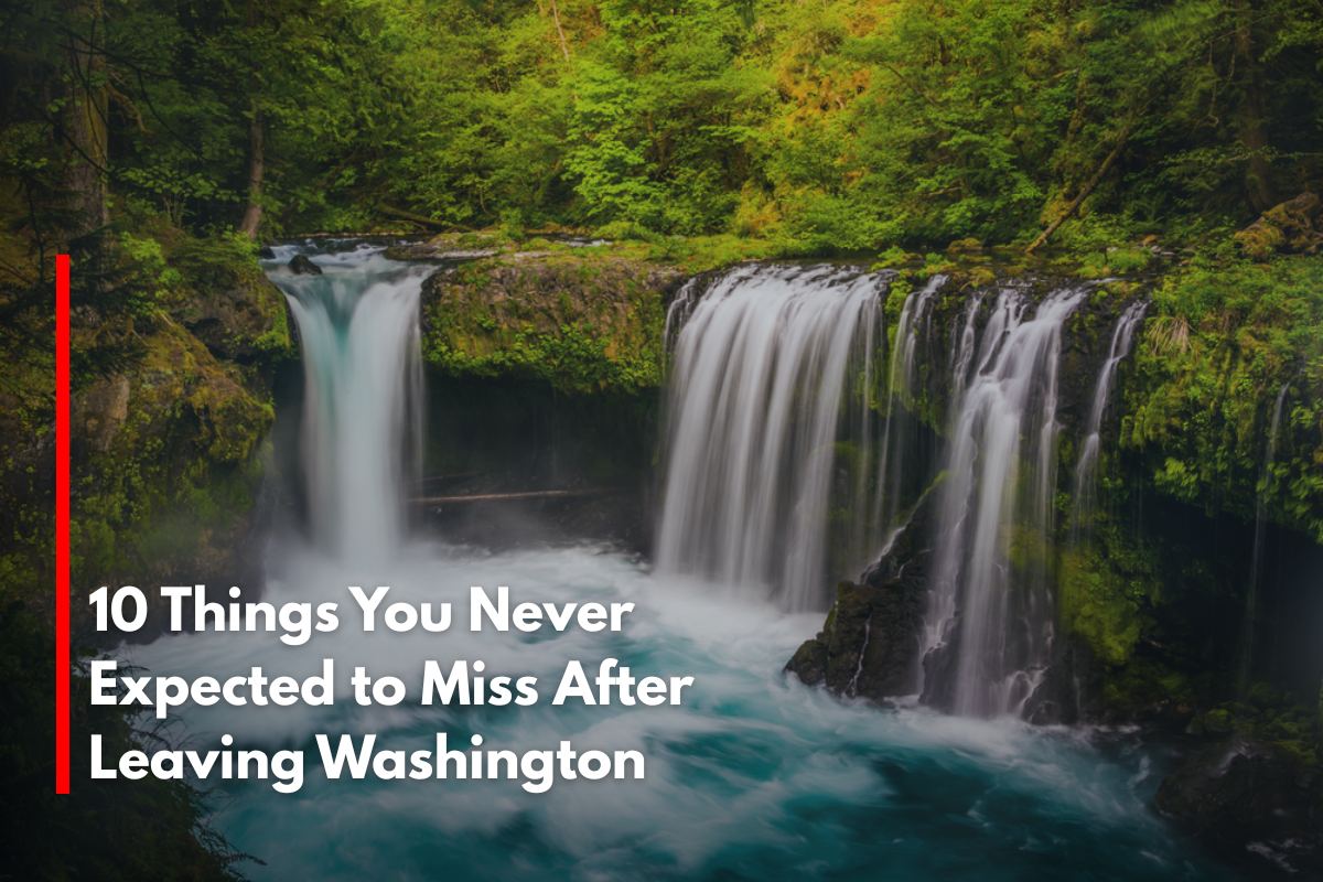 10 Things You Never Expected to Miss After Leaving Washington
