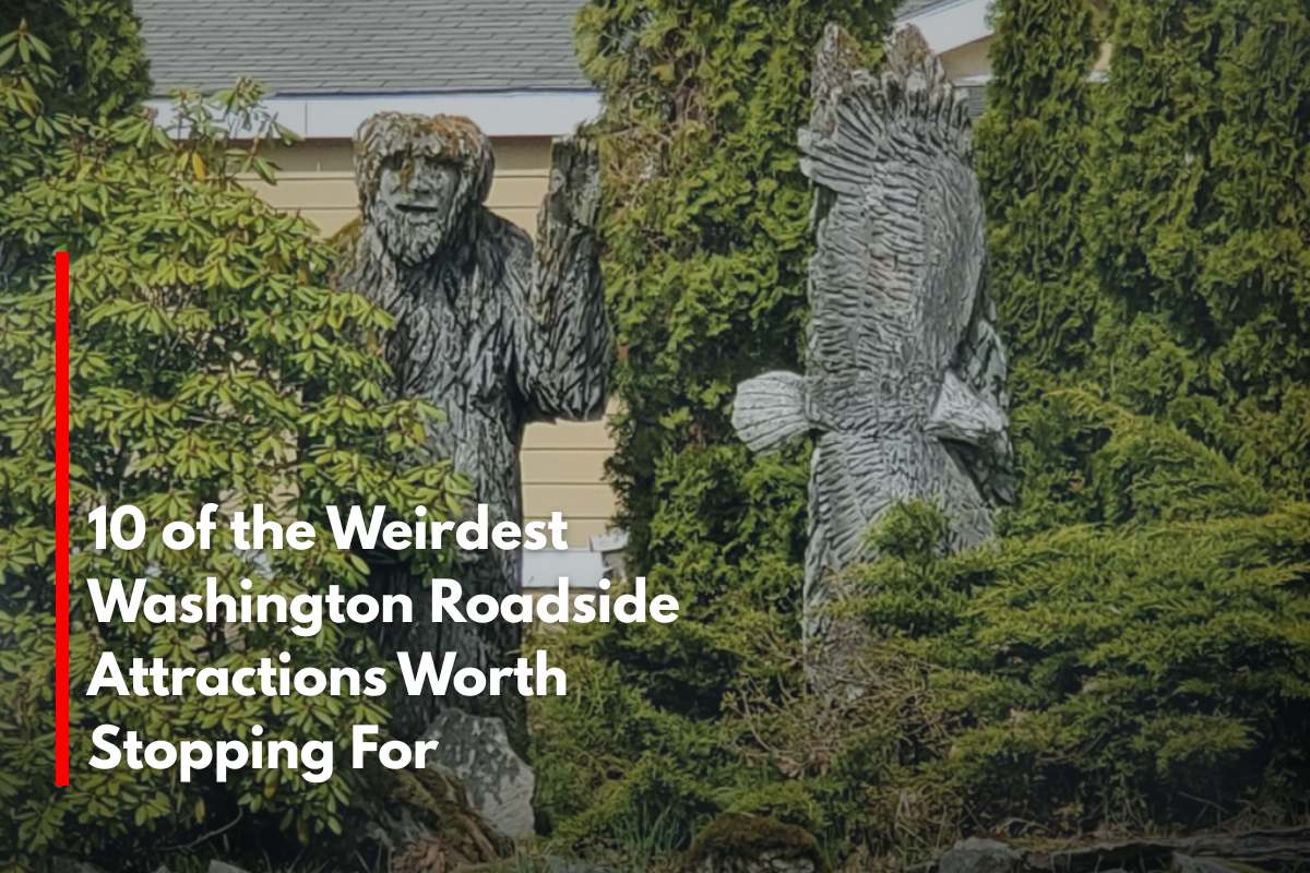 10 of the Weirdest Washington Roadside Attractions Worth Stopping For