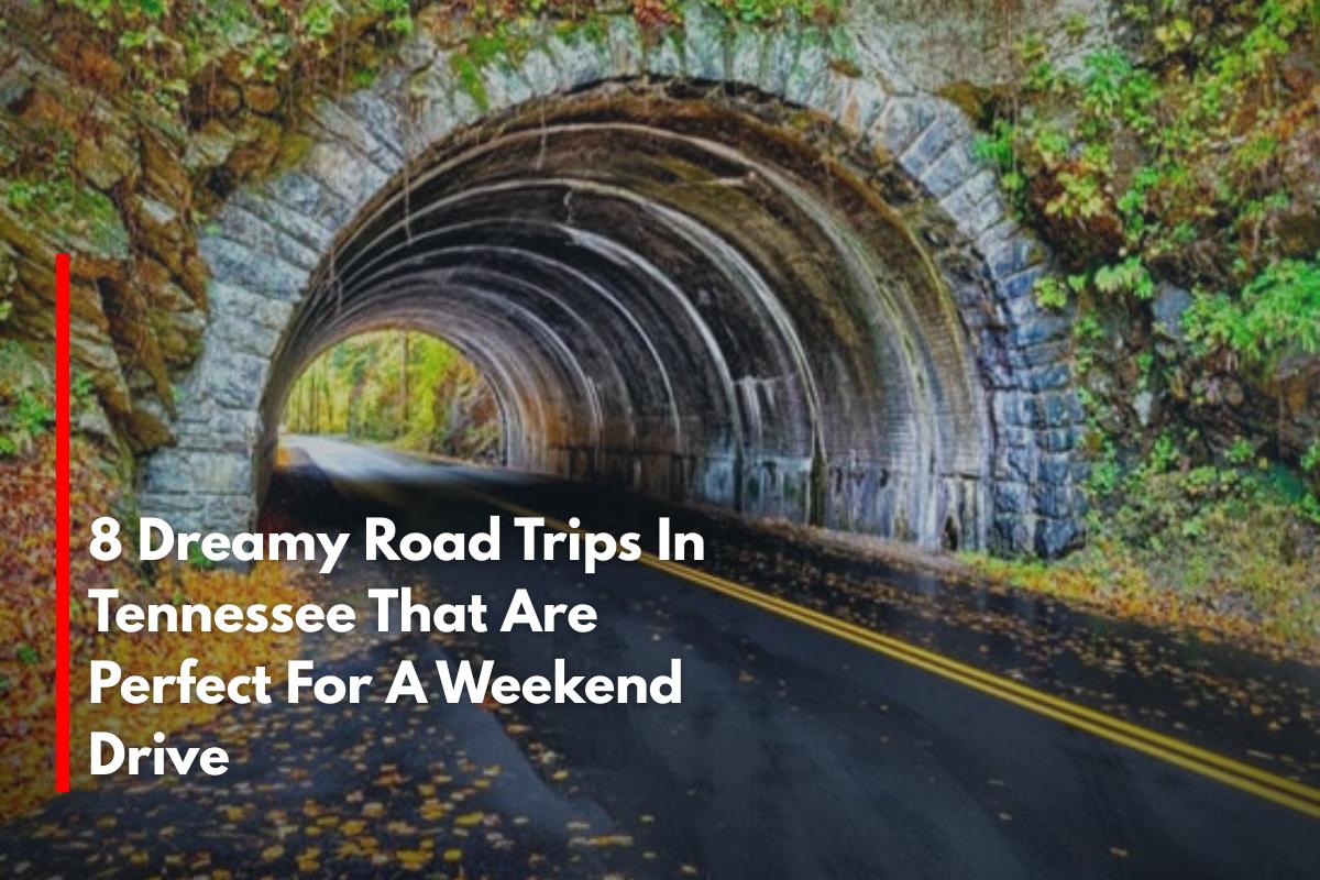 8 Dreamy Road Trips In Tennessee That Are Perfect For A Weekend Drive