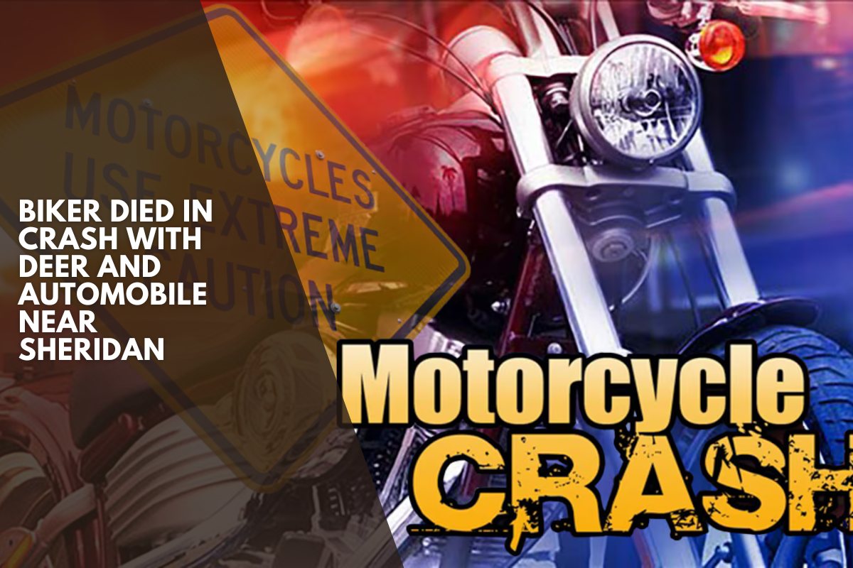 Biker died in crash with deer and automobile near Sheridan
