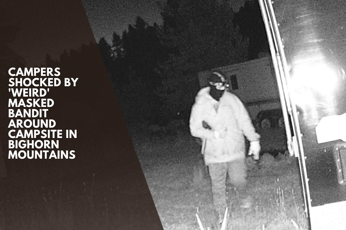 Campers Shocked By 'Weird' Masked Bandit Around Campsite In Bighorn Mountains