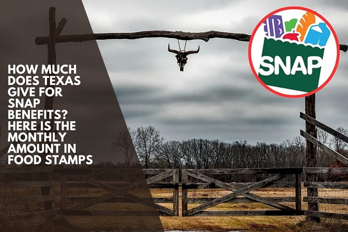 How much does Texas give for SNAP benefits? Here is the monthly amount in food stamps
