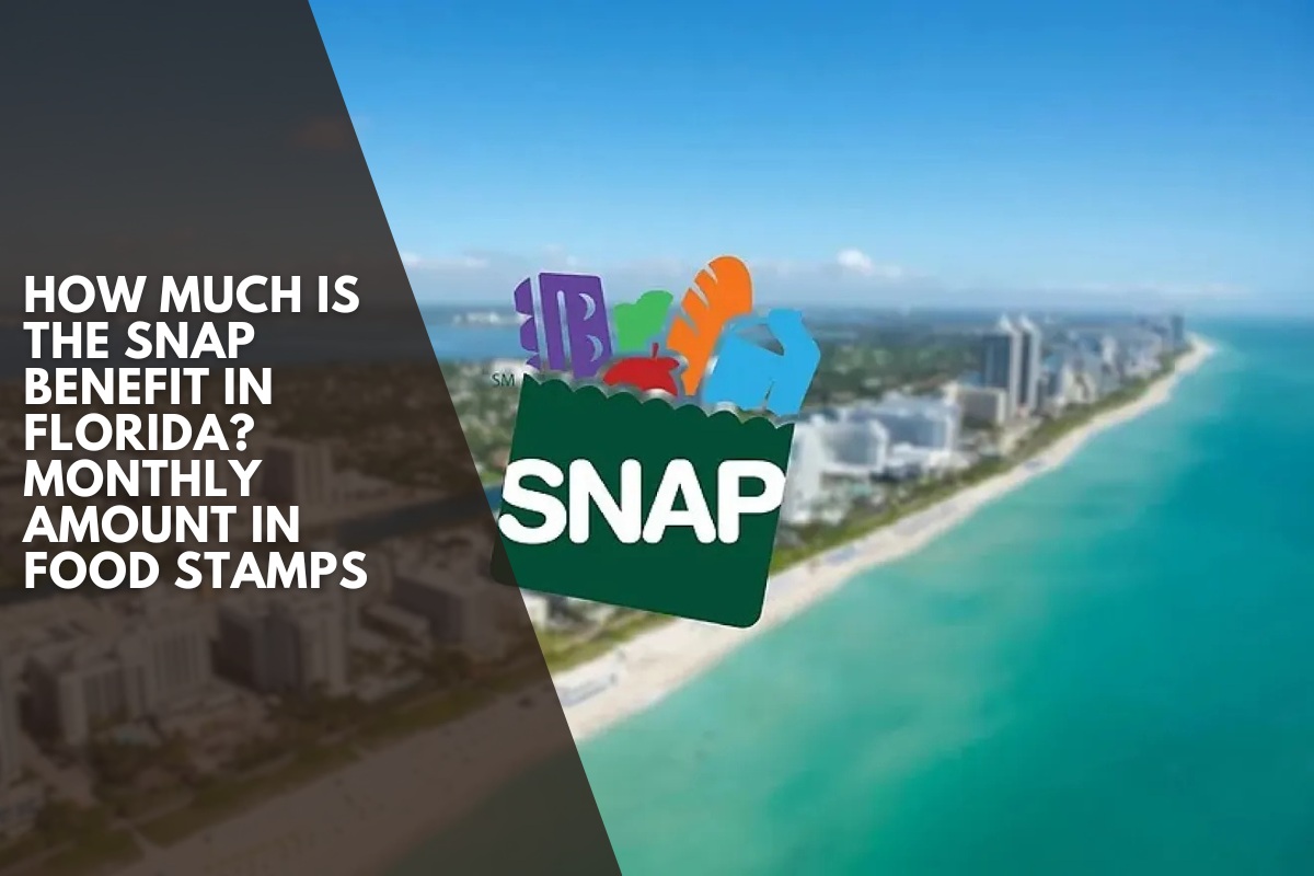 How much is the SNAP benefit in Florida? Monthly amount in food stamps