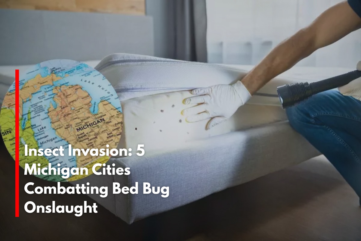 Insect Invasion: 5 Michigan Cities Combatting Bed Bug Onslaught
