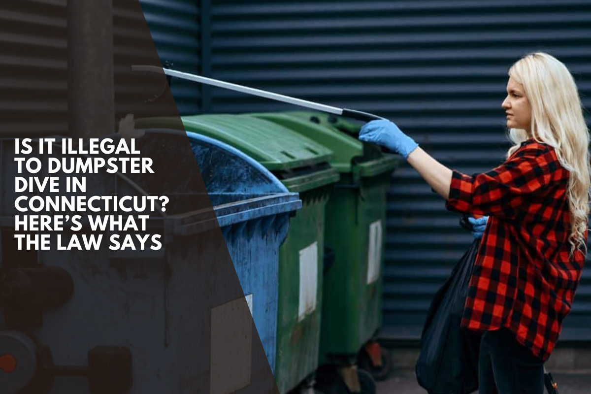 Is It Illegal to Dumpster Dive in Connecticut? Here’s What the Law Says