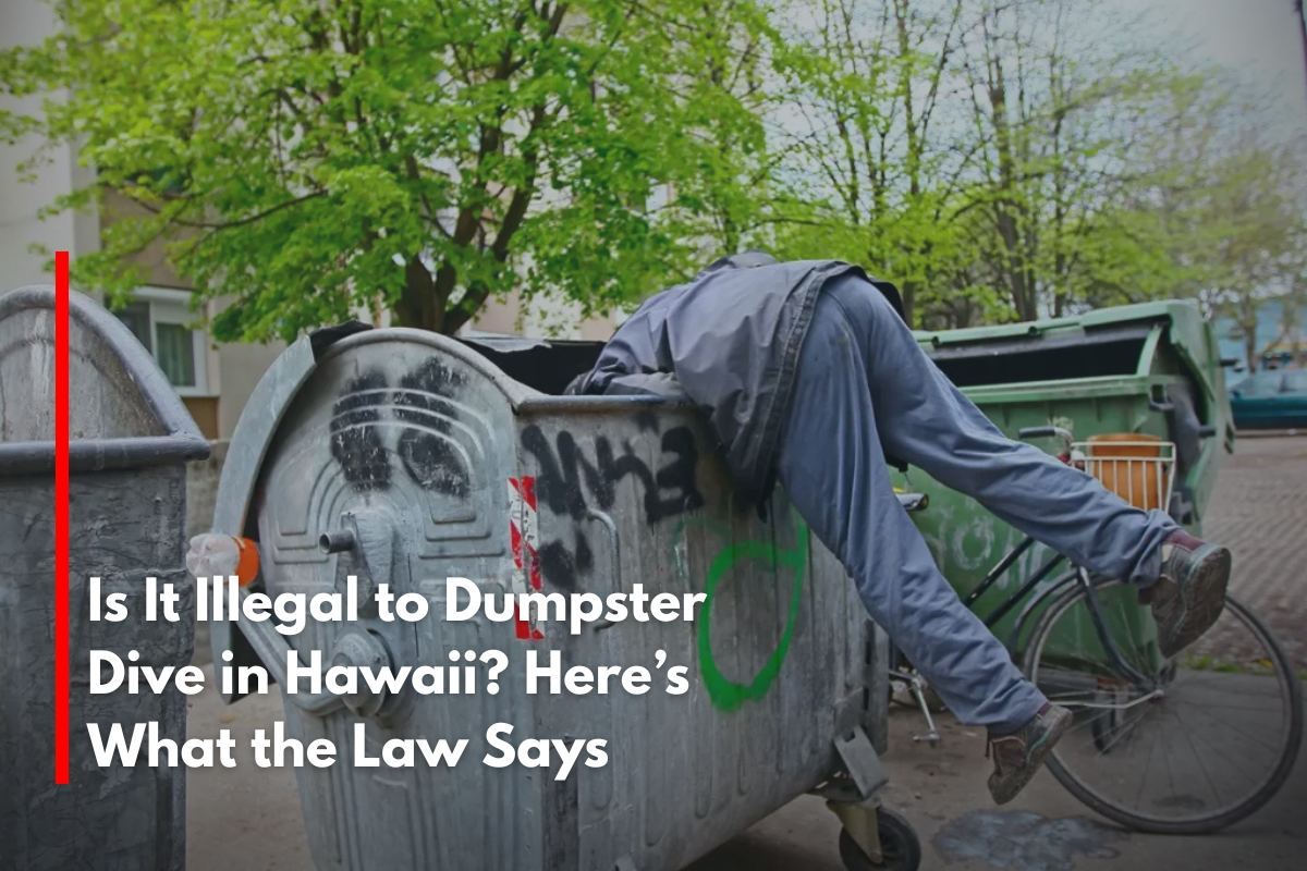 Is It Illegal to Dumpster Dive in Hawaii? Here’s What the Law Says