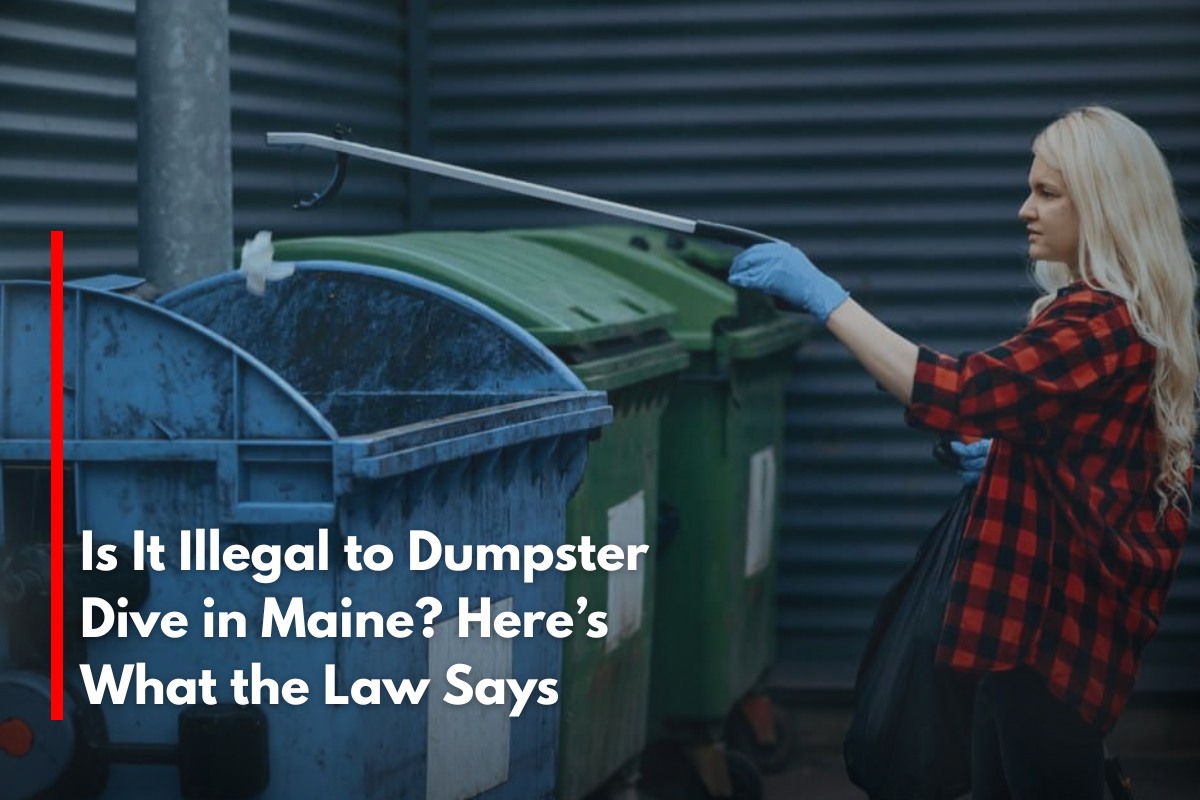 Is It Illegal to Dumpster Dive in Maine Here’s What the Law Says