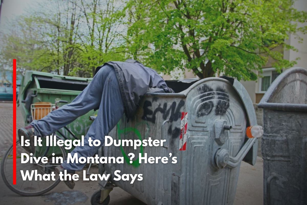 Is It Illegal to Dumpster Dive in Montana ? Here’s What the Law Says