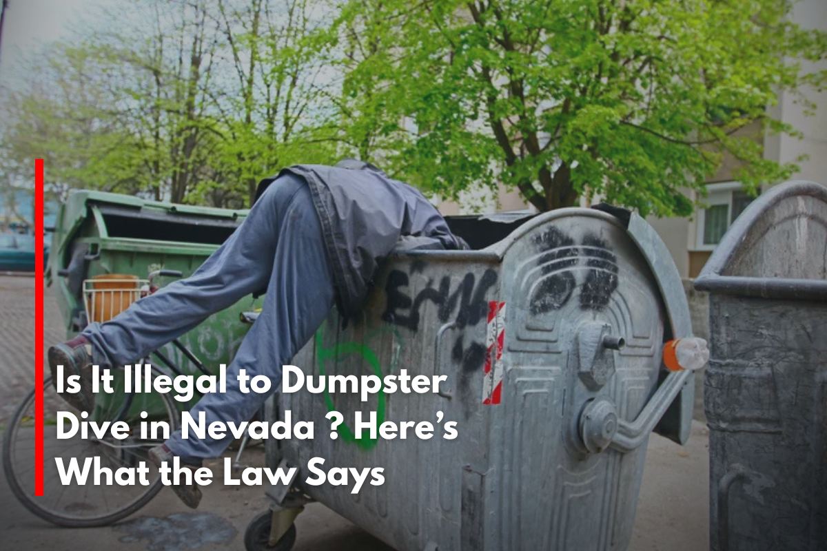 Is It Illegal to Dumpster Dive in Nevada ? Here’s What the Law Says