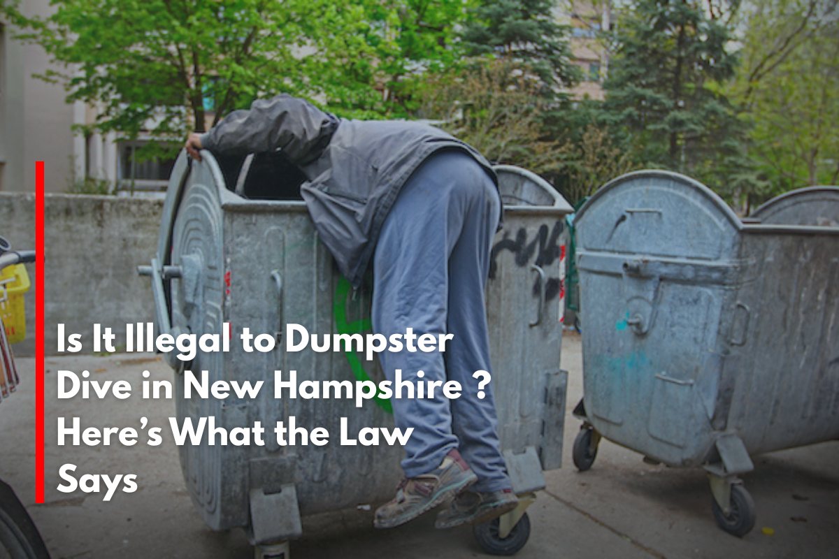 Is It Illegal to Dumpster Dive in New Hampshire ? Here’s What the Law Says