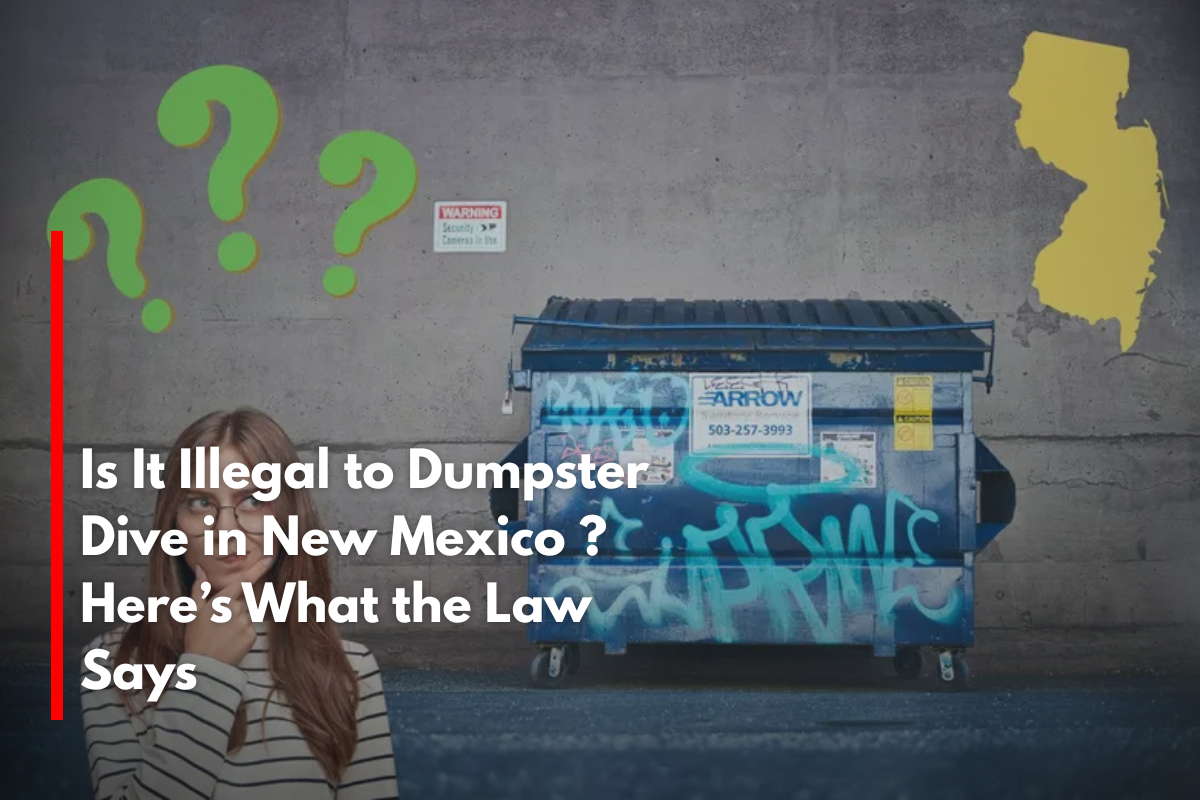 Is It Illegal to Dumpster Dive in New Mexico Here’s What the Law Says