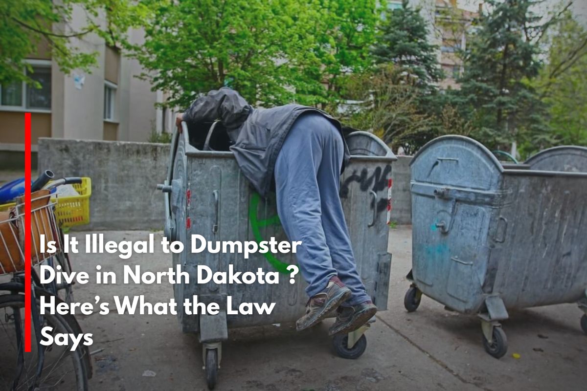Is It Illegal to Dumpster Dive in North Dakota ? Here’s What the Law Says