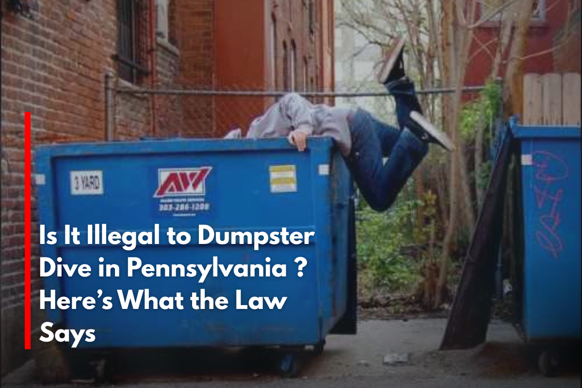 Is It Illegal to Dumpster Dive in Pennsylvania ? Here’s What the Law Says