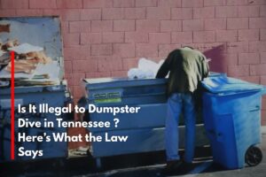 Is It Illegal to Dumpster Dive in Tennessee ? Here’s What the Law Says