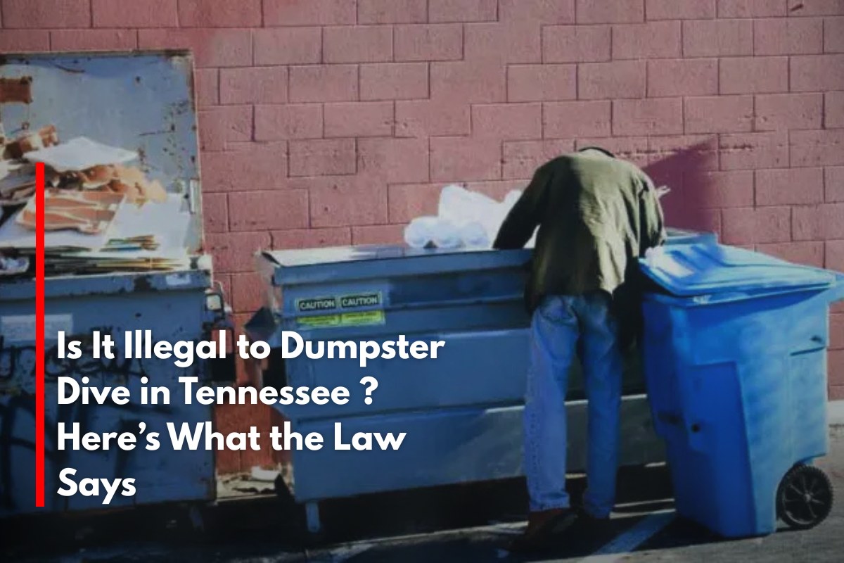 Is It Illegal to Dumpster Dive in Tennessee ? Here’s What the Law Says
