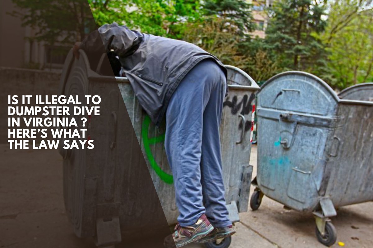 Is It Illegal to Dumpster Dive in Virginia ? Here’s What the Law Says