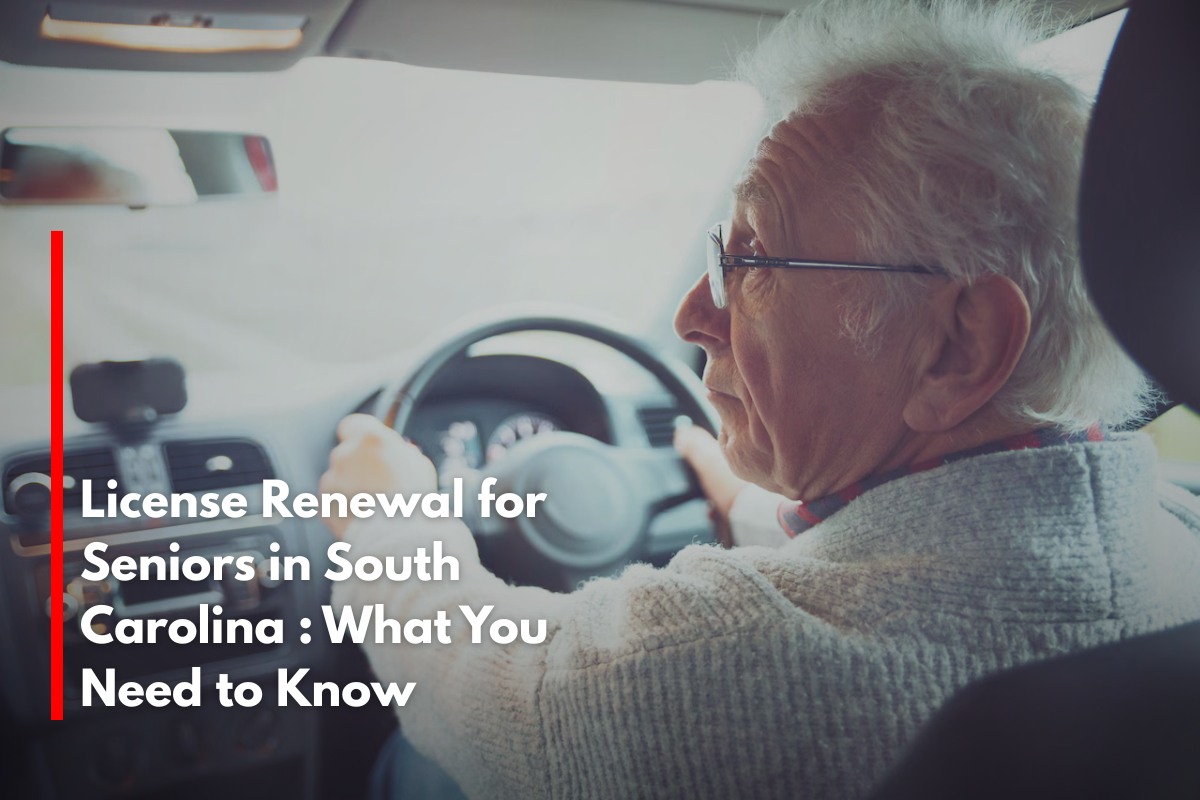 License Renewal for Seniors in South Carolina : What You Need to Know
