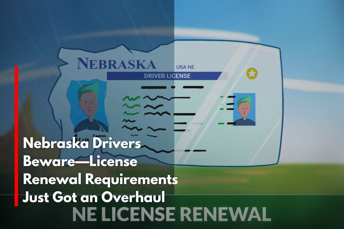 View of MT Motor Vehicle Division - Driver & Vehicle Services Made Easy