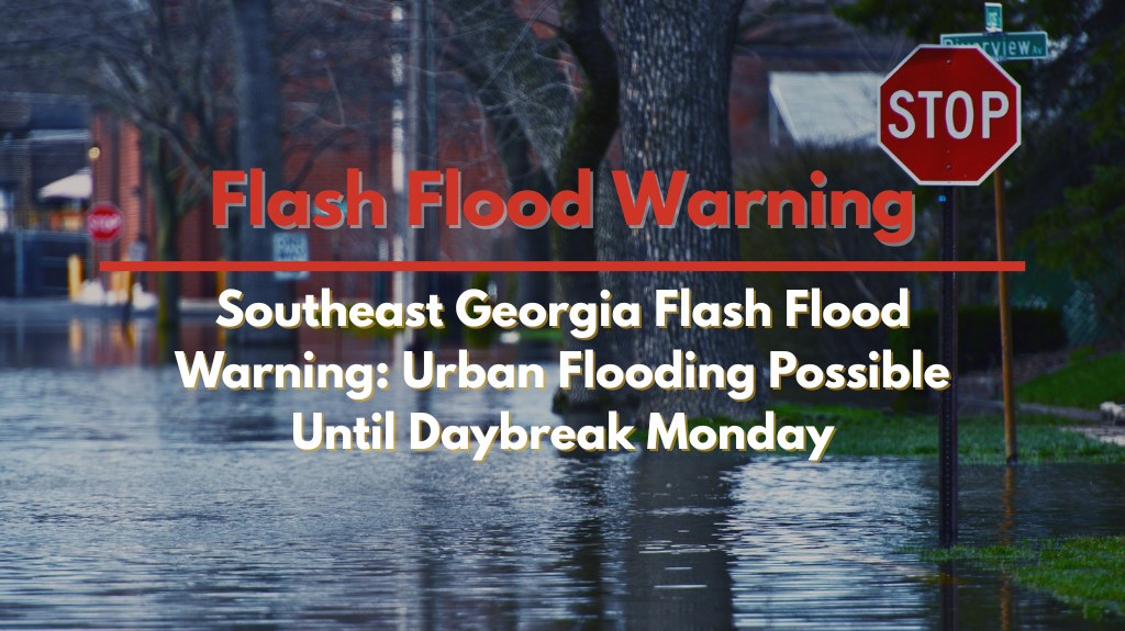Southeast Georgia Flash Flood Warning Urban Flooding Possible Until Daybreak Monday