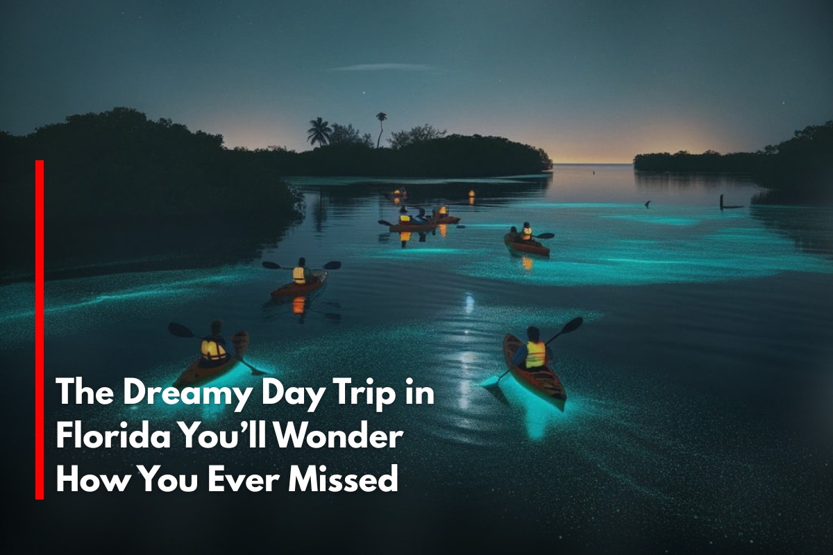 The Dreamy Day Trip in Florida You’ll Wonder How You Ever Missed