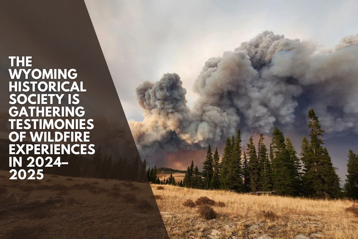 The Wyoming Historical Society is gathering testimonies of wildfire experiences in 2024–2025