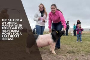 The sale of a Wyoming Make-A-Wish teen's 4-H pig helps raise money for a rare heart disease.