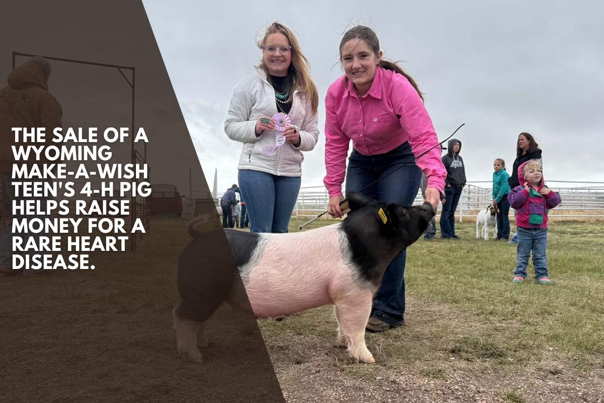 The sale of a Wyoming Make-A-Wish teen's 4-H pig helps raise money for a rare heart disease.