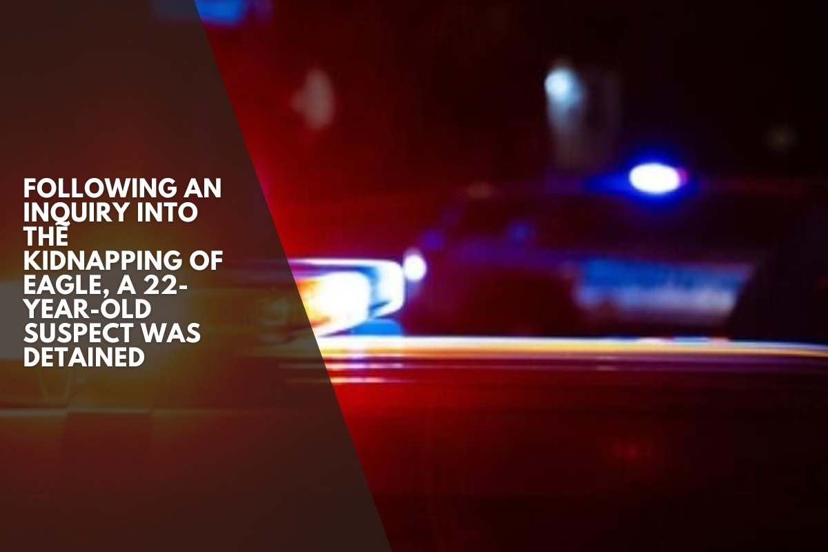 Following an inquiry into the kidnapping of Eagle, a 22-year-old suspect was detained