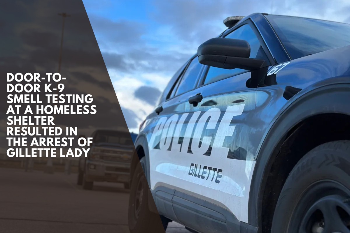 Door-to-door K-9 smell testing at a homeless shelter resulted in the arrest of Gillette lady