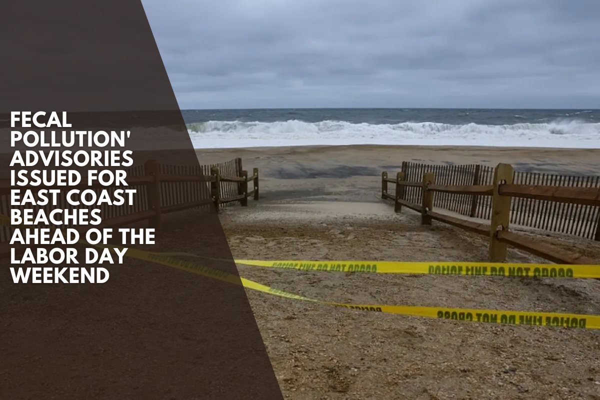 Fecal pollution' advisories issued for East Coast beaches ahead of the Labor Day weekend