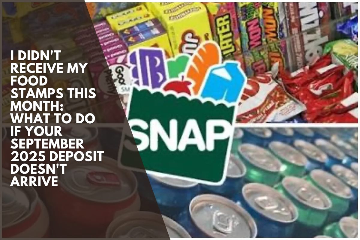 I didn't receive my food stamps this month: What to do if your September 2025 deposit doesn't arrive