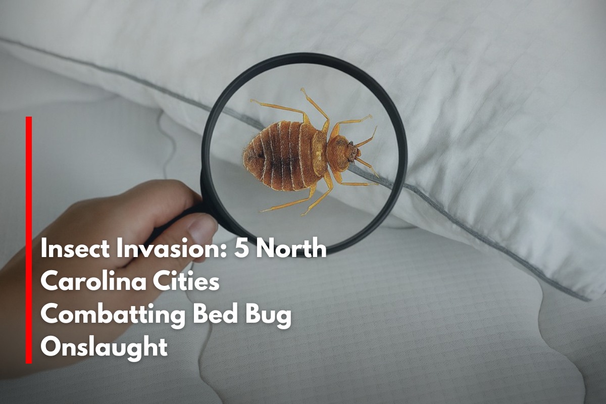 Insect Invasion 5 North Carolina Cities Combatting Bed Bug Onslaught_compressed
