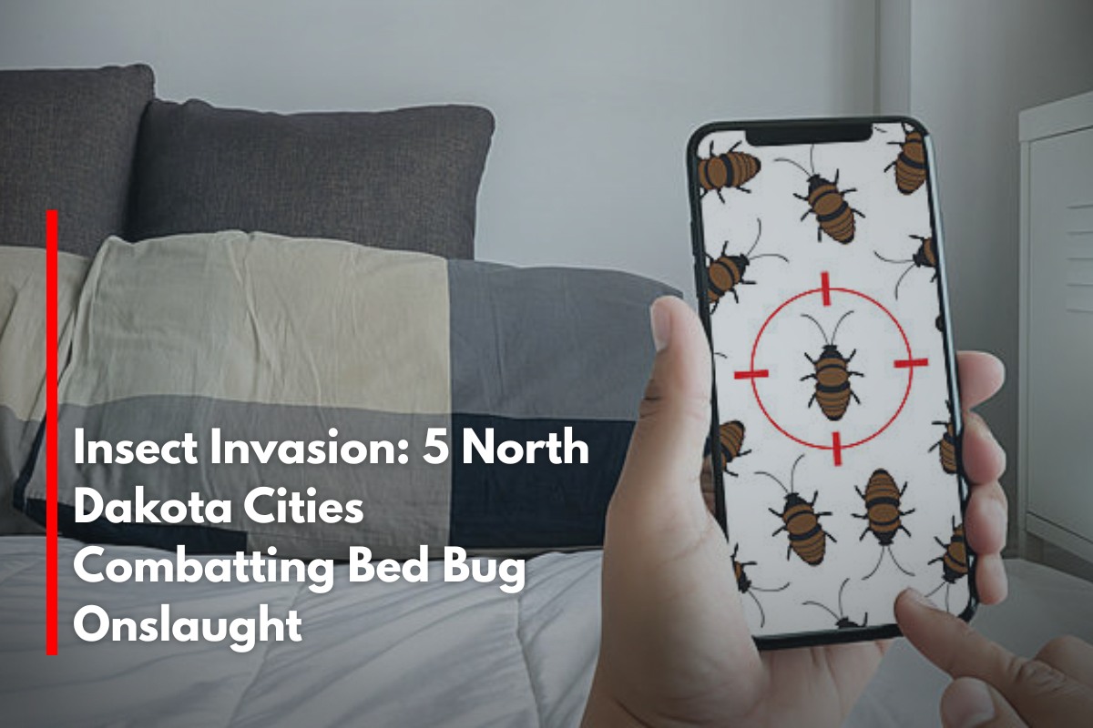 Insect Invasion: 5 North Dakota Cities Combatting Bed Bug Onslaught
