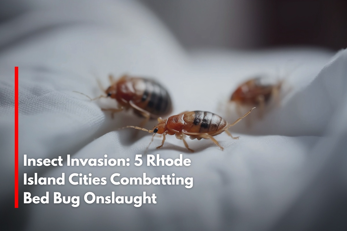 Insect Invasion: 5 Rhode Island Cities Combatting Bed Bug Onslaught