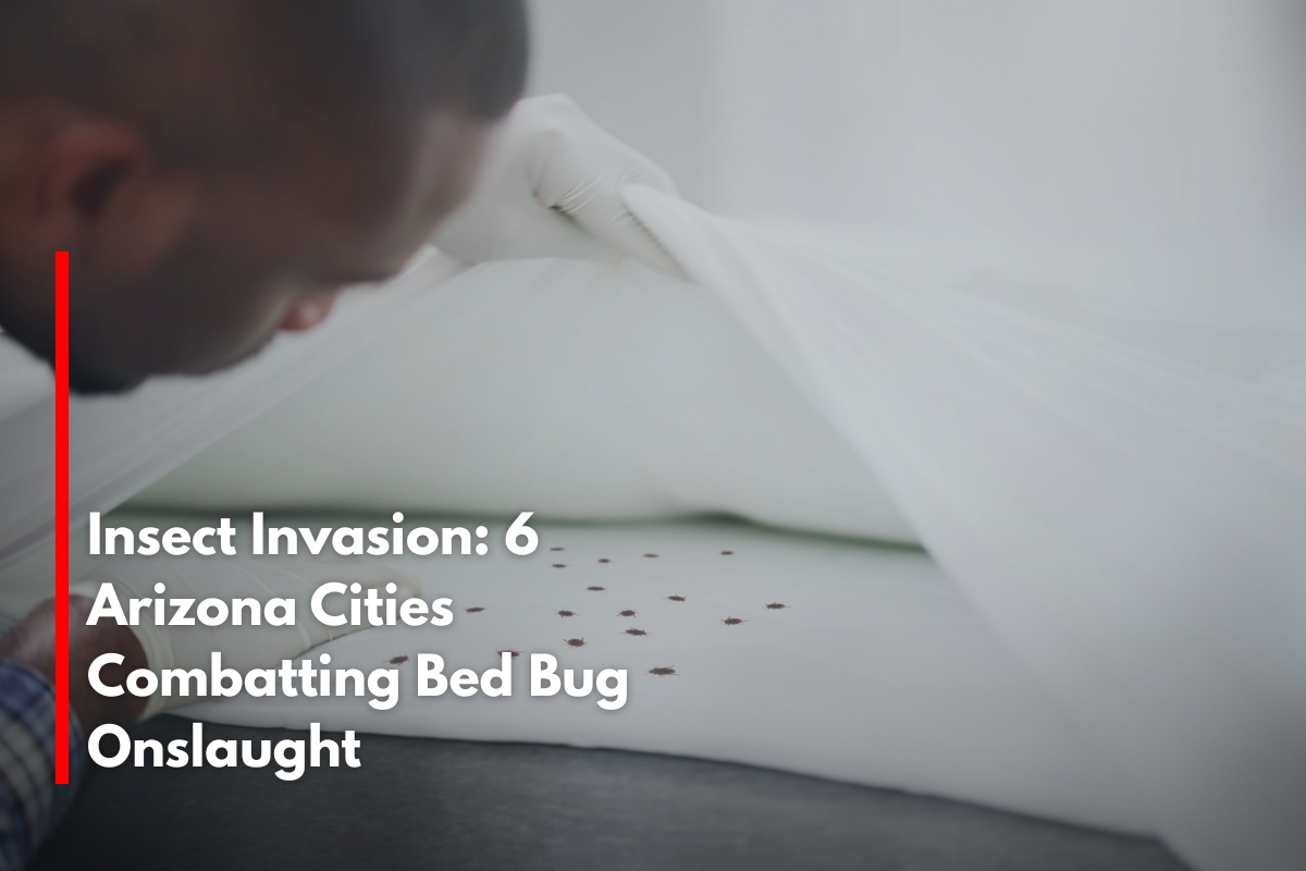Insect Invasion: 6 Arizona Cities Combatting Bed Bug Onslaught
