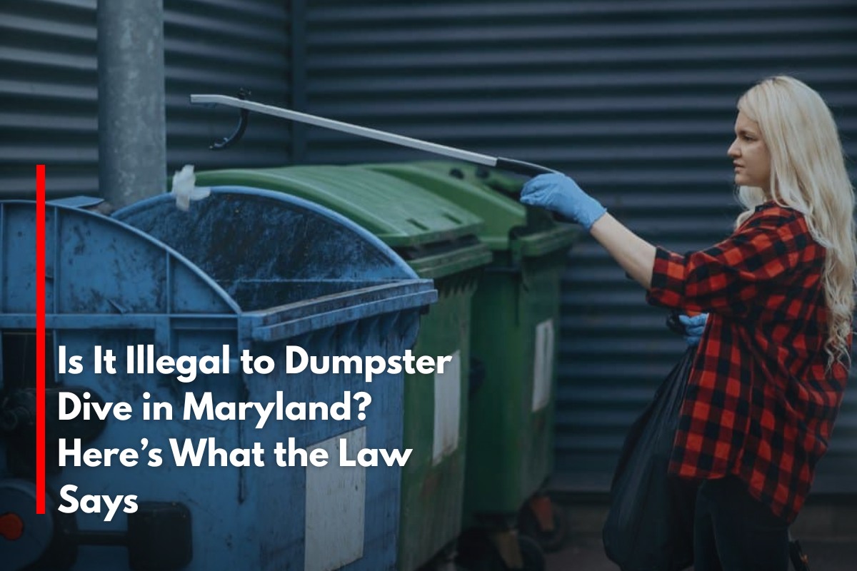 Is It Illegal to Dumpster Dive in Maryland? Here’s What the Law Says