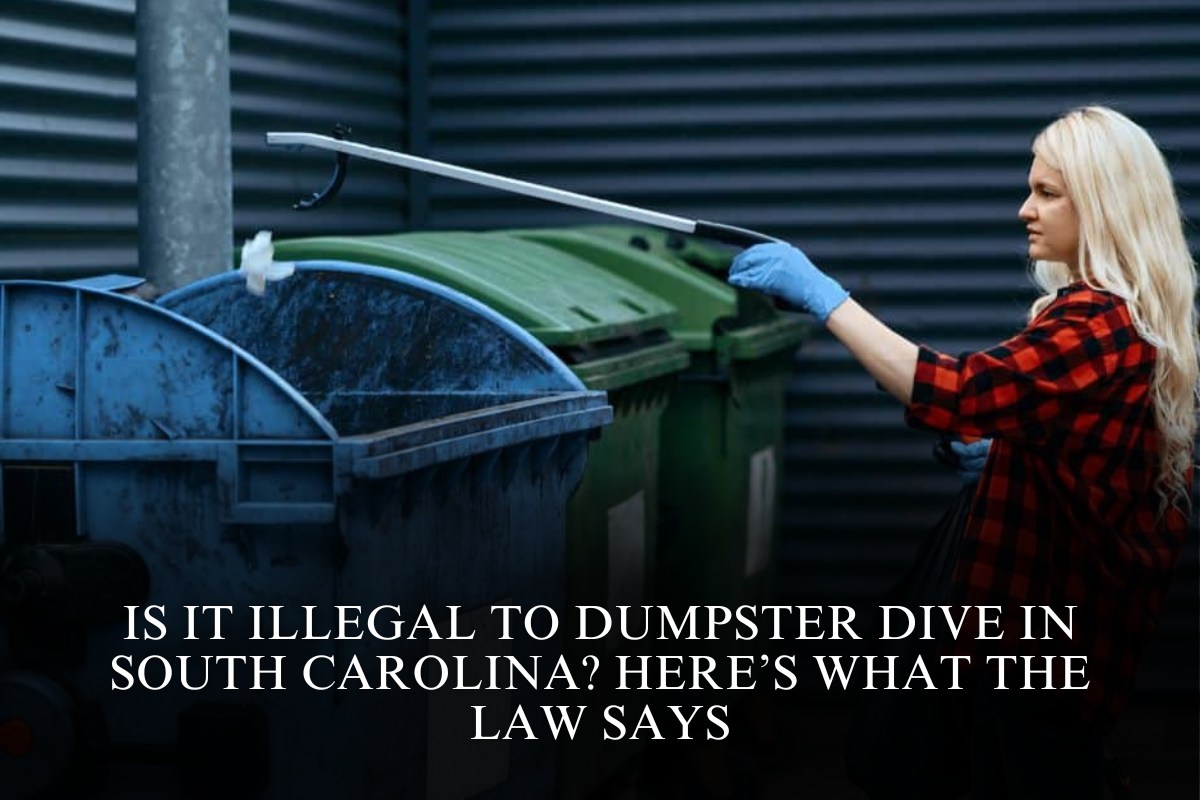 Is It Illegal to Dumpster Dive in South Carolina? Here’s What the Law Says