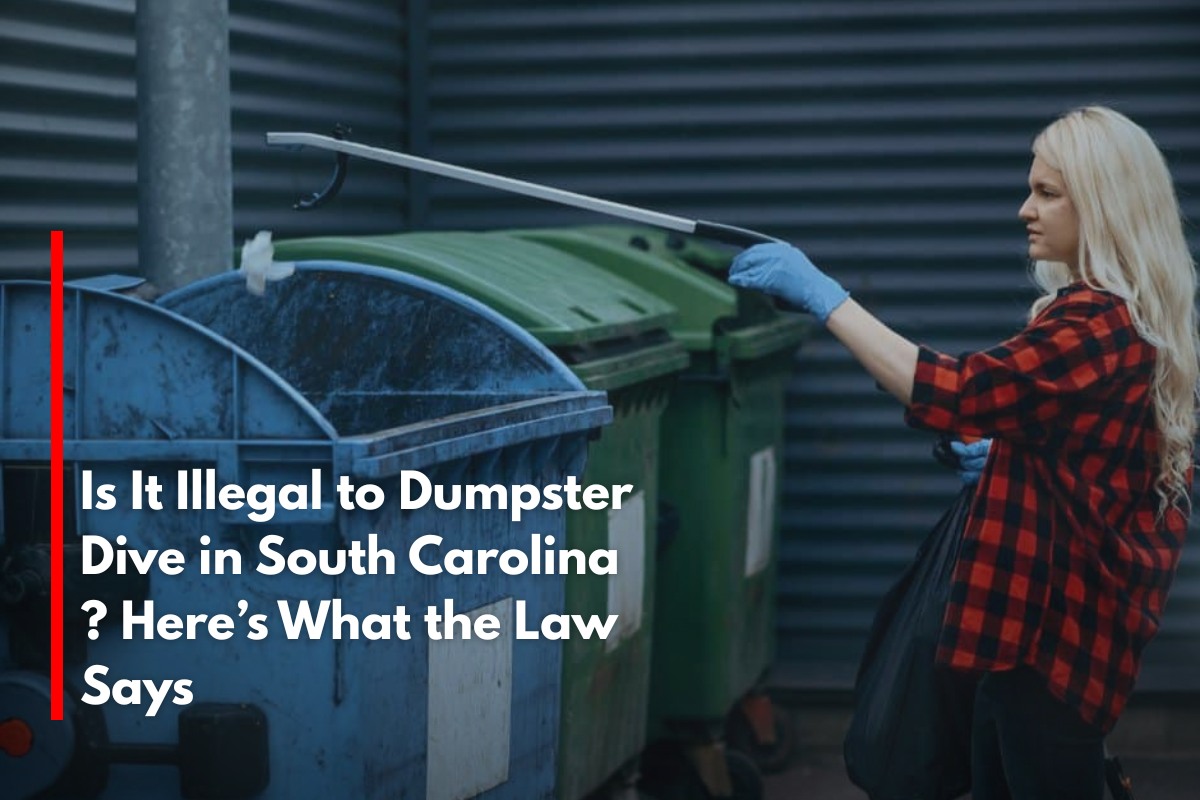 Is It Illegal to Dumpster Dive in South Carolina ? Here’s What the Law Says