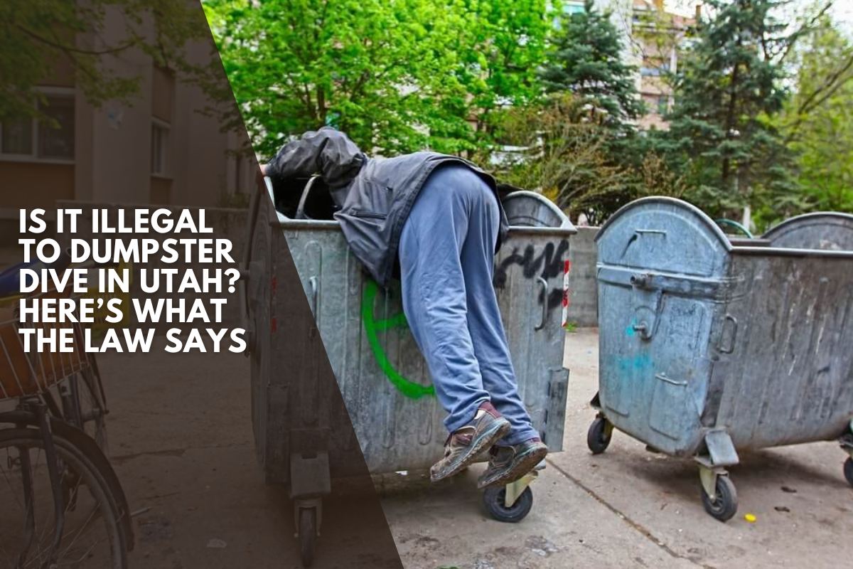 Is It Illegal to Dumpster Dive in Utah? Here’s What the Law Says