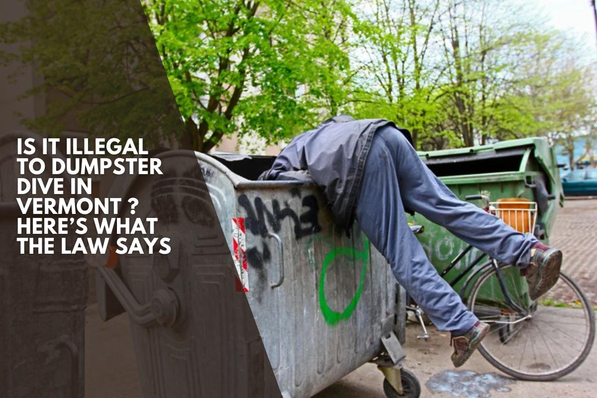 Is It Illegal to Dumpster Dive in Vermont ? Here’s What the Law Says