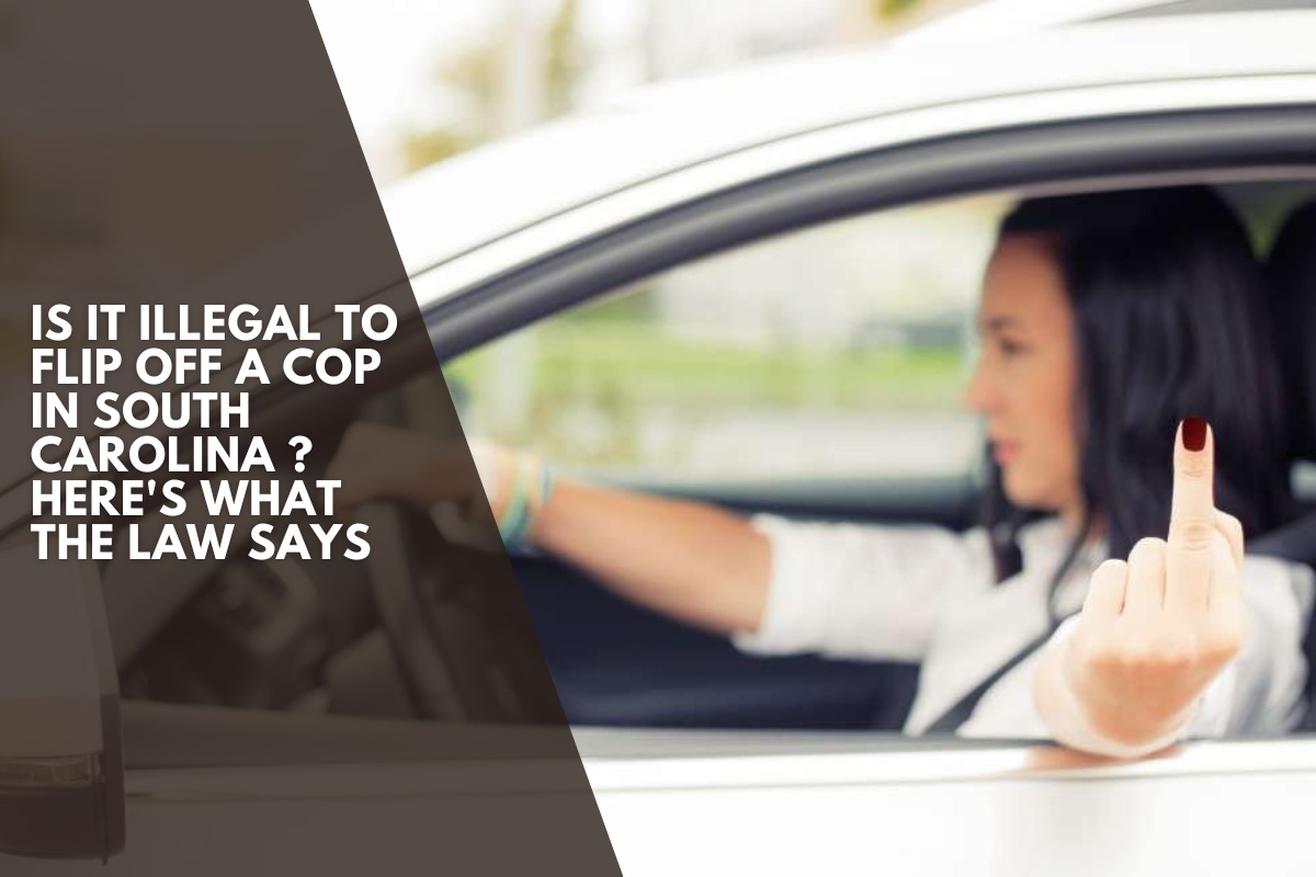 Is It Illegal to Flip Off a Cop in South Carolina ? Here's What the Law Says