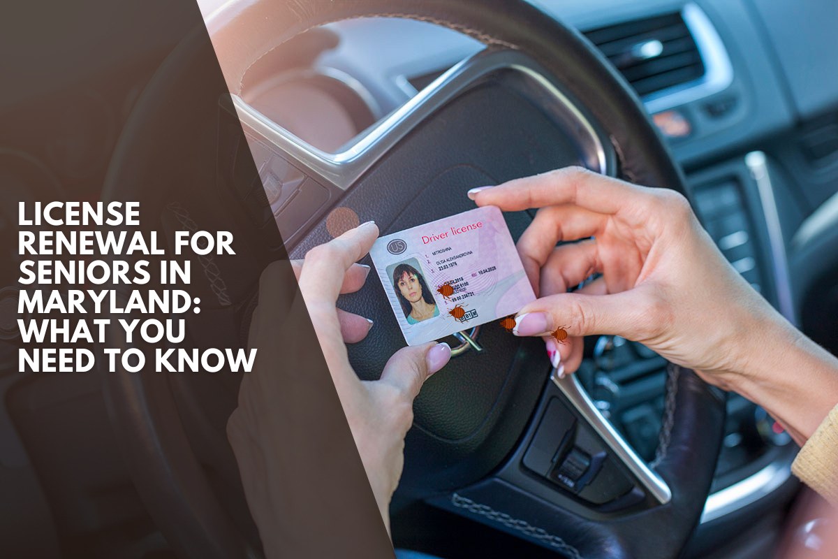 License Renewal for Seniors in Maryland: What You Need to Know