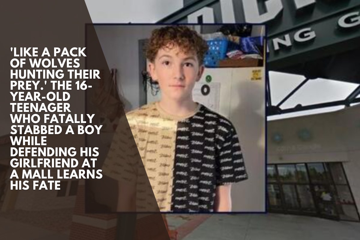 'Like a pack of wolves hunting their prey.' The 16-year-old teenager who fatally stabbed a boy while defending his girlfriend at a mall learns his fate