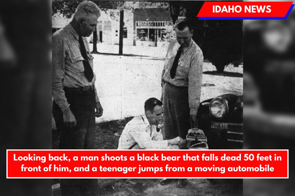 Looking back, a man shoots a black bear that falls dead 50 feet in front of him, and a teenager jumps from a moving automobile