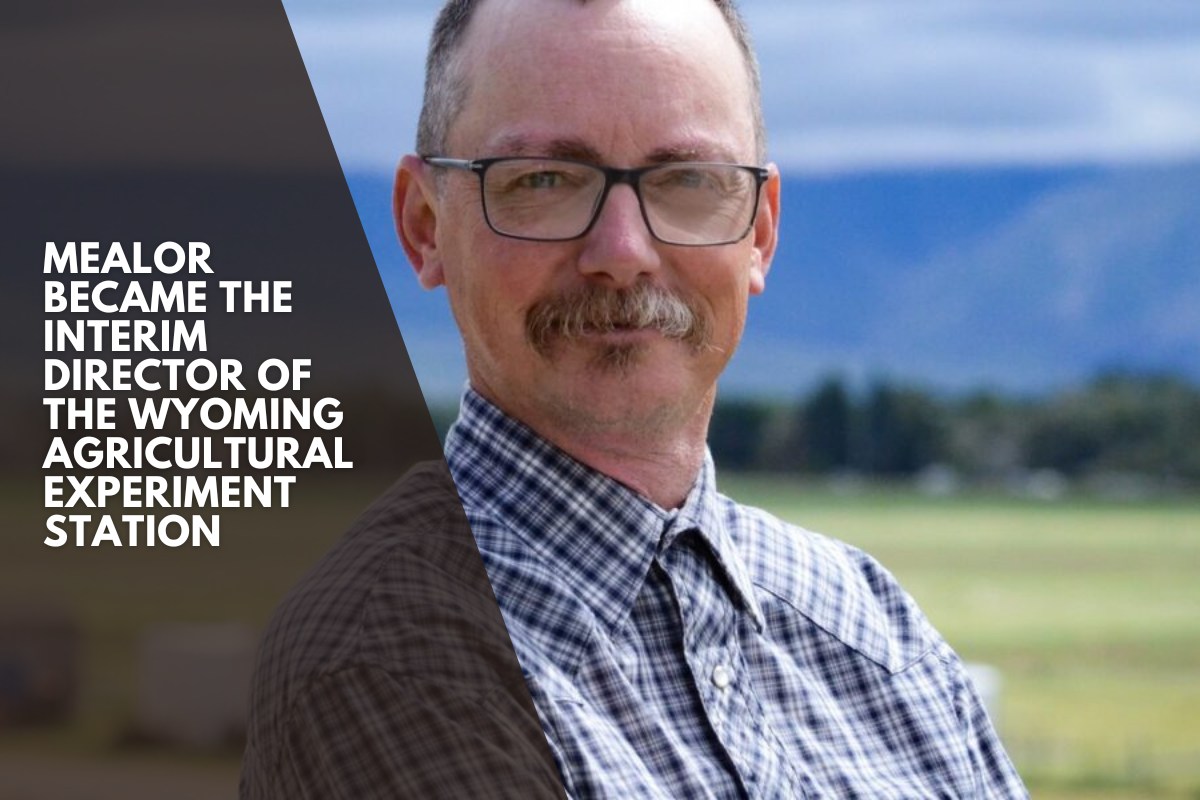 Mealor became the interim director of the Wyoming Agricultural Experiment Station