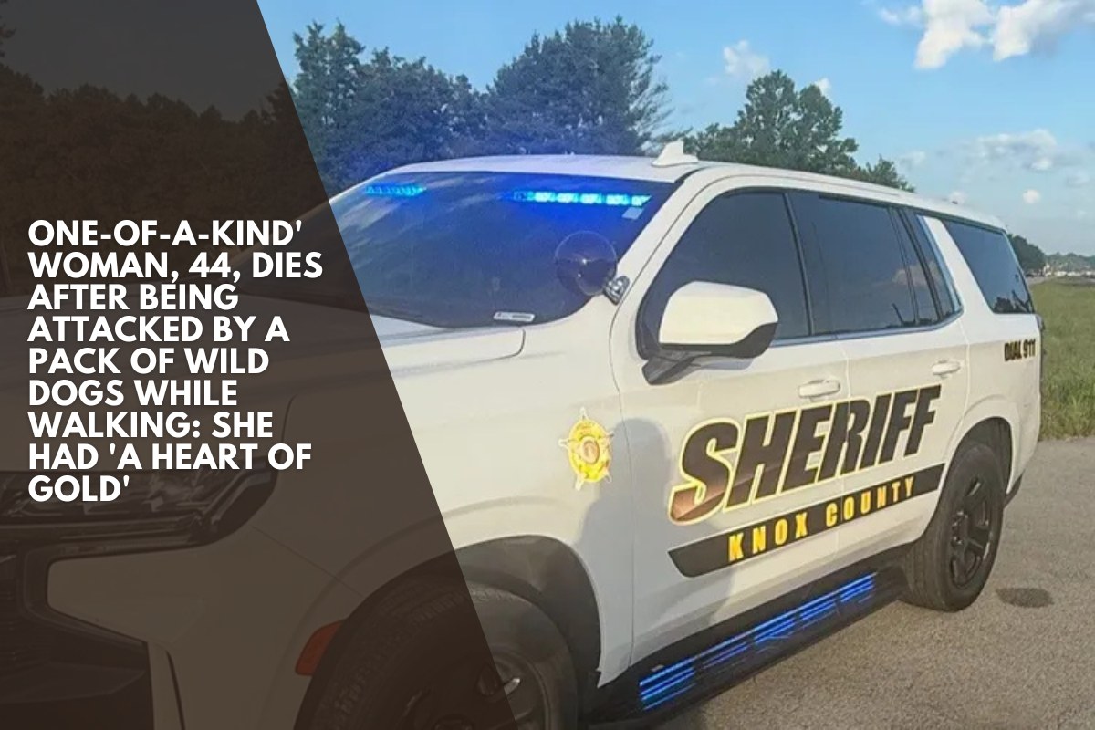 One-of-a-Kind' Woman, 44, Dies After Being Attacked by a Pack of Wild Dogs While Walking: She Had 'a Heart of Gold'