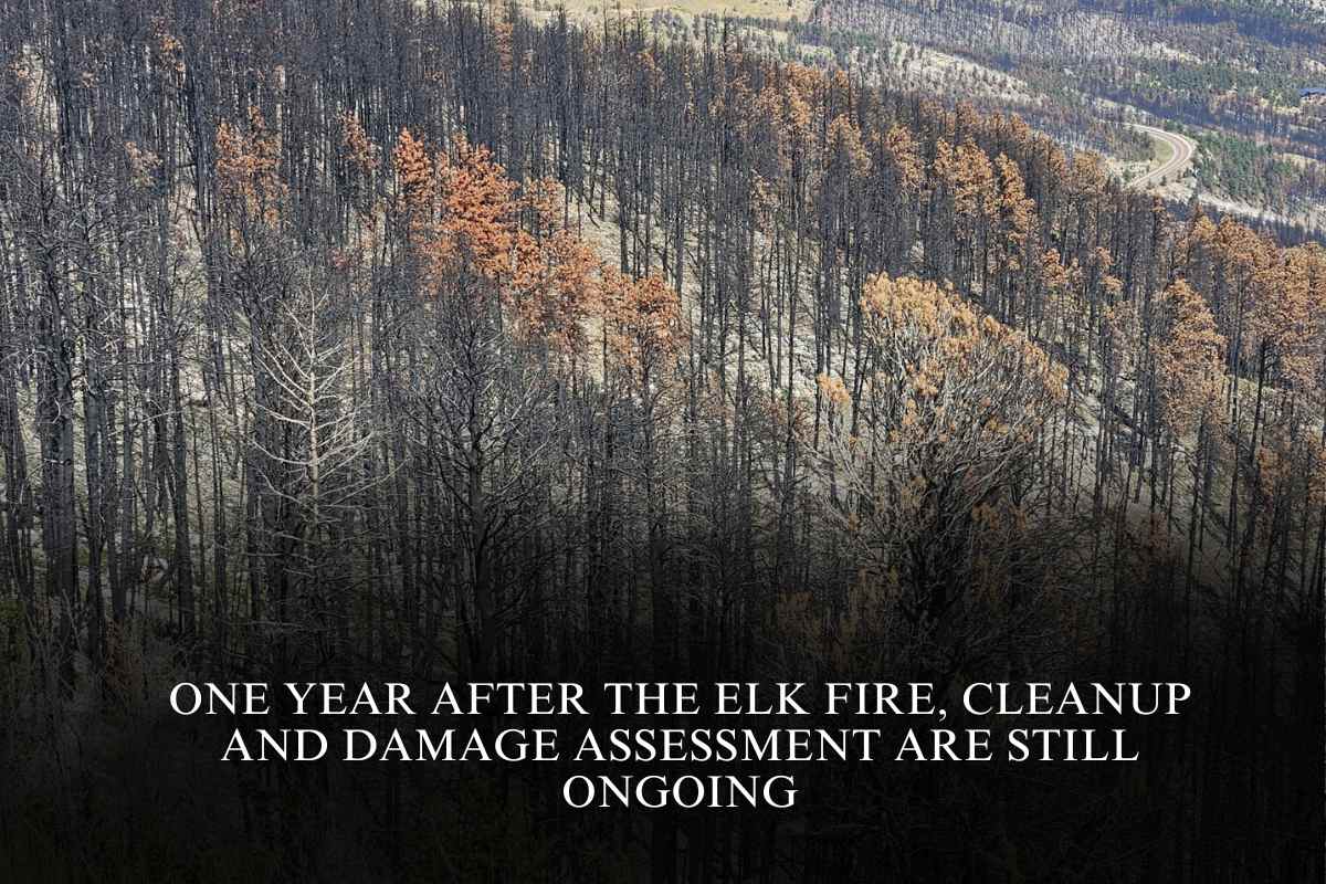 One year after the Elk Fire, cleanup and damage assessment are still ongoing