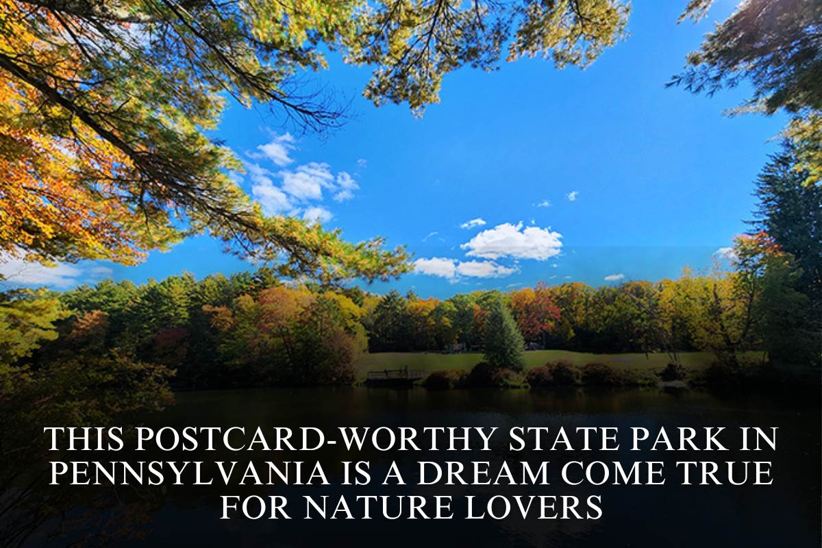 This Postcard-Worthy State Park In Pennsylvania Is A Dream Come True For Nature Lovers