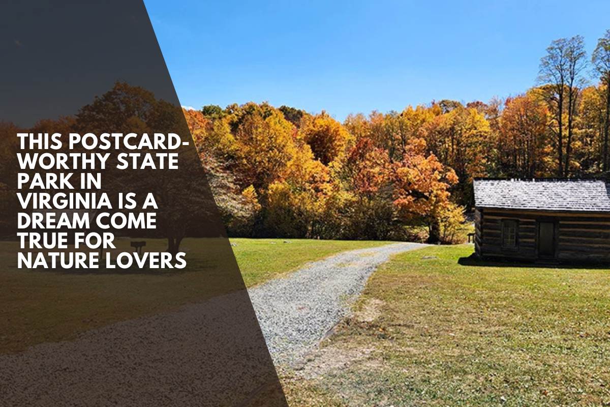 This Postcard-Worthy State Park In Virginia Is A Dream Come True For Nature Lovers